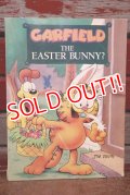 ct-201114-133 Garfield / 1989 Garfield The Easter Bunny Picture Book