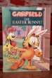 画像1: ct-201114-133 Garfield / 1989 Garfield The Easter Bunny Picture Book (1)