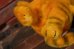 画像6: ct-210501-24 Garfield / DAKIN 1980's Plush Doll