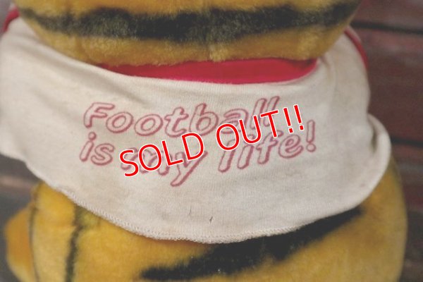 画像6: ct-210501-16 Garfield / DAKIN 1980's Plush Doll "Football"