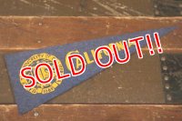 dp-210401-106 UNIVERSITY OF CALIFORNIA / Vintage Pennant