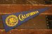 画像1: dp-210401-106 UNIVERSITY OF CALIFORNIA / Vintage Pennant (1)