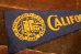 画像2: dp-210401-106 UNIVERSITY OF CALIFORNIA / Vintage Pennant (2)