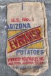 画像1: dp-210401-66 ARIZONA EVERKRISP POTATOES / Vintage Burlap Bag (1)