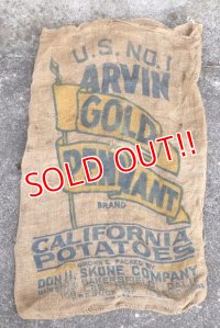 dp-210401-66 ARVIN GOLD PENNANT / Vintage Burlap Bag