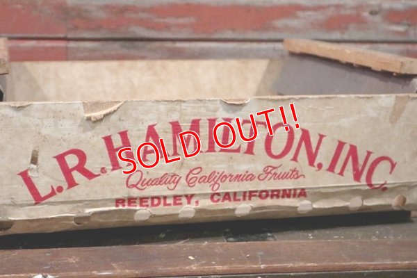 画像3: dp-210401-11 Red Robin L.R.HAMILTON,INC. / Vintage Wood Box
