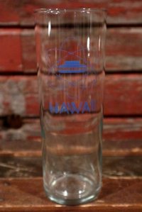 dp-201101-14 Vintage Hawaii Tumbler