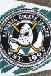 画像2: ct-141028-15 ANAHEIM Mighty Ducks / 1990's Pennant (2)