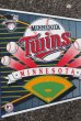 画像2: ct-210501-15 MINNESOTA TWINS / 1990's Pennant (2)