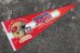 画像1: ct-210401-106 SAN FRANCISCO 49ERS / 1988 NFC CHAMPIONS Pennant (1)