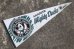 画像1: ct-141028-15 ANAHEIM Mighty Ducks / 1990's Pennant (1)