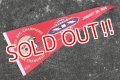 ct-210401-106 SAN FRANCISCO 49ERS / 1984 NFC CHAMPIONS Pennant