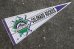 画像1: ct-210501-14 COLORADO ROCKIES / 1990's Pennant (1)