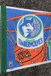 画像2: ct-210501-16 MINNESOTA TIMBERWOLVES  / 1990's Pennant (2)