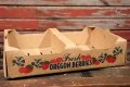 dp-210601-17 Fresh OREGON BEERIES / Cardboard Box