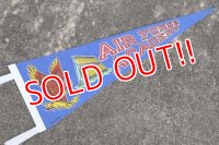 dp-210401-106  AIR FORCE ACADEMY / Pennant