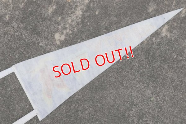 画像7: dp-210401-106  AIR FORCE ACADEMY / Pennant