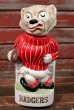 画像1: ct-210401-86 University of Wisconsin / Badgers 1974 Decanter (1)