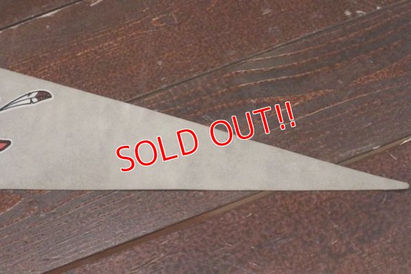 画像5: dp-210401-106  University of Nevada-Las Vegas UNLV / Rebels Pennant