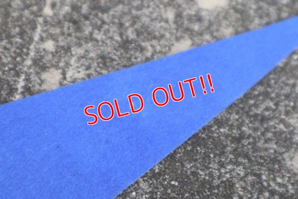 画像5: dp-210401-106  AIR FORCE ACADEMY / Pennant