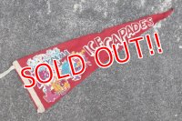 dp-201114-32 DISNEYRAMA ICE CAPADES / 1960's Pennant