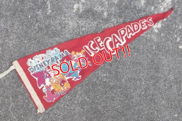 画像1: dp-201114-32 DISNEYRAMA ICE CAPADES / 1960's Pennant