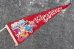 画像1: dp-201114-32 DISNEYRAMA ICE CAPADES / 1960's Pennant (1)