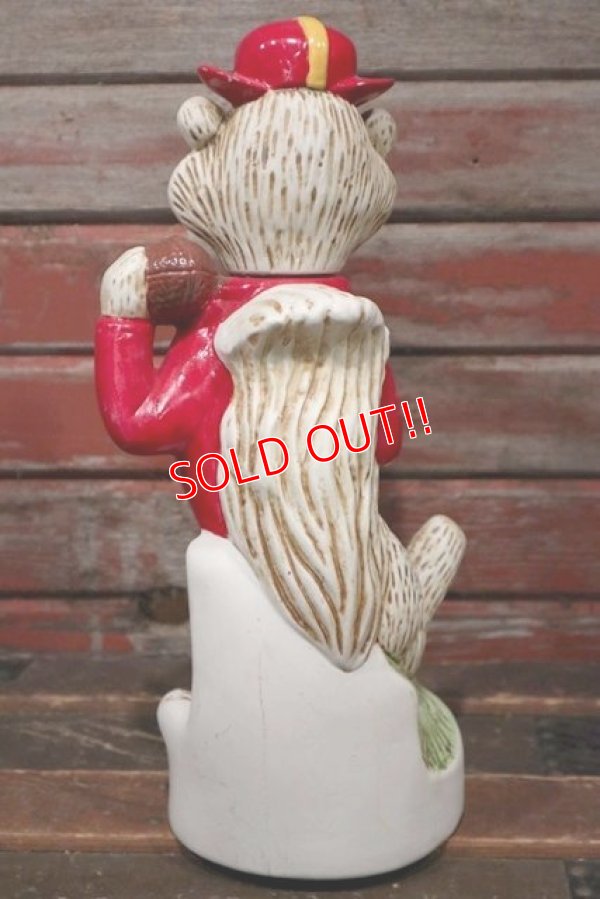 画像6: ct-210401-87 The University of Minnesota / Goldy Gophers 1974 Decanter