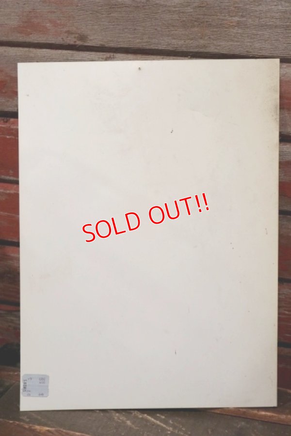 画像6: dp-210701-48 FIRE EXTINGUISHER / Vintage Plastic Sign