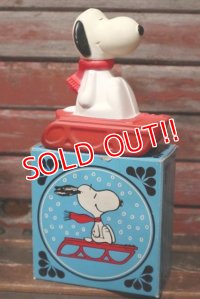 ct-210701-30 Snoopy / AVON 1970's Snow Flyer Bubble Bath Bottle (Box)