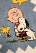画像2: ct-210801-21 Snoopy & Charlie Brown / Tastemaker 1970's Cotton Towel (2)