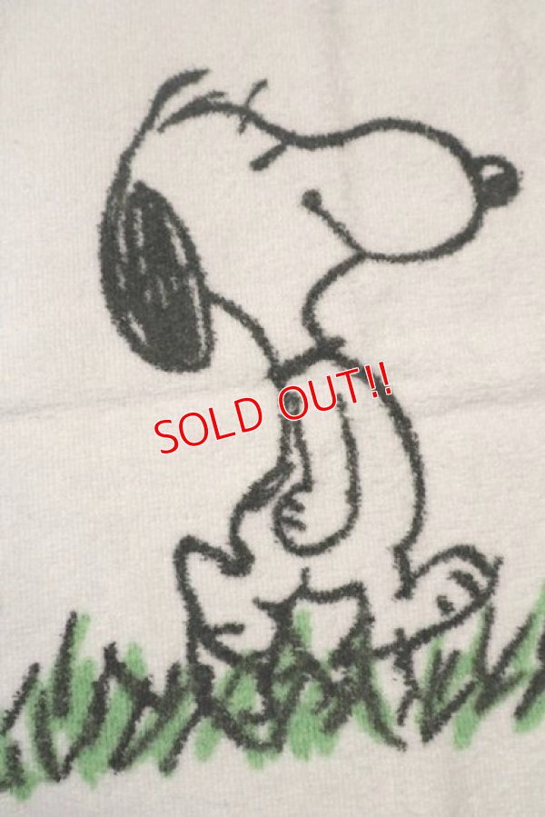 画像2: ct-210801-17 Snoopy / Tastemaker 1970's Hand Towel