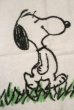 画像2: ct-210801-17 Snoopy / Tastemaker 1970's Hand Towel (2)