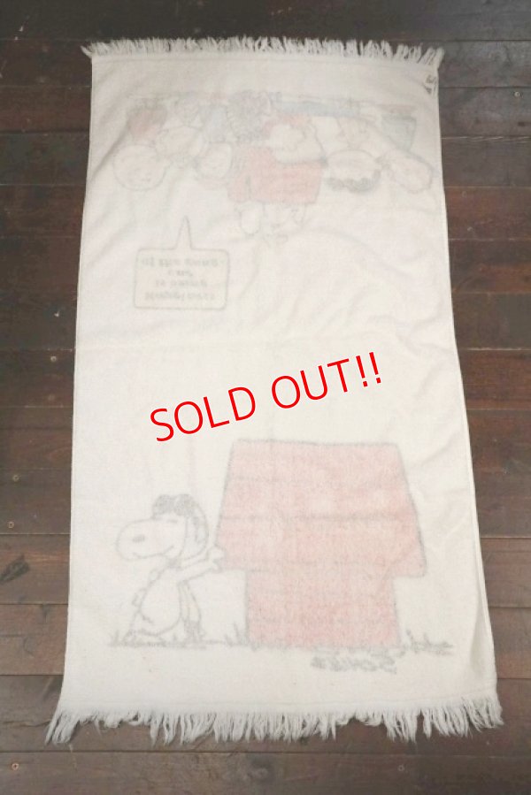 画像6: ct-210801-22 PEANUTS / Tastemaker 1970's Cotton Towel