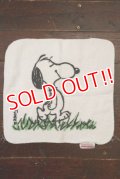 ct-210801-17 Snoopy / Tastemaker 1970's Hand Towel