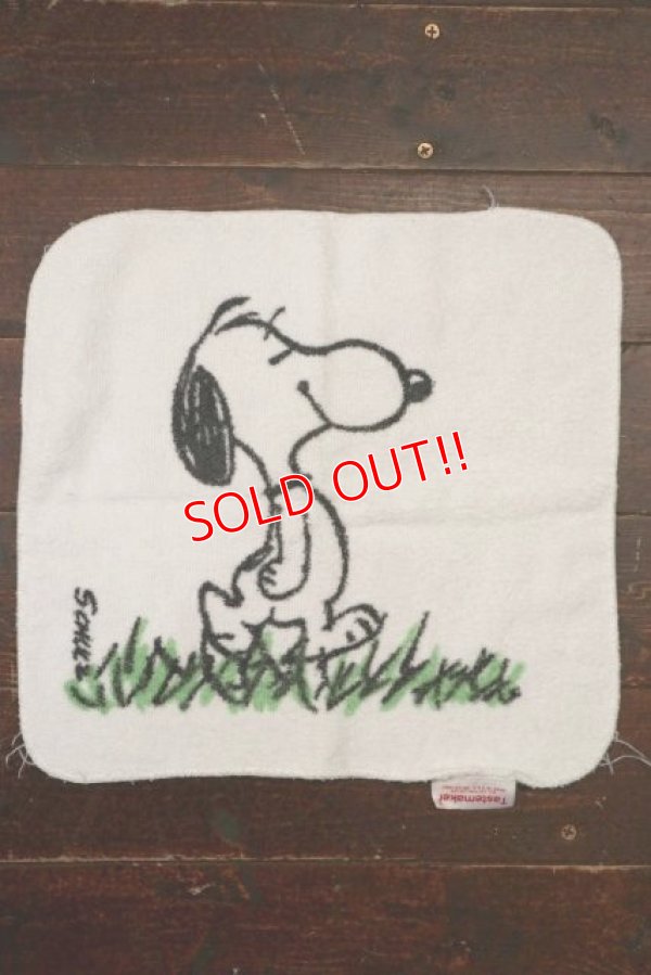 画像1: ct-210801-17 Snoopy / Tastemaker 1970's Hand Towel