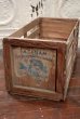 画像1: dp-210601-12 ALABAMA BLAND Strawberries / Vintage Wood Box (1)