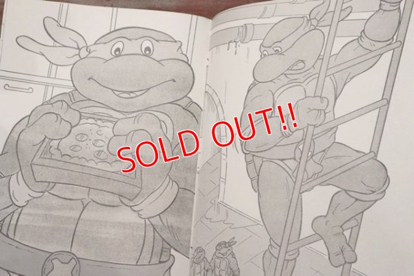 画像6: ct-210801-84 TEENAGE MUTANT NINJA TURTELES / 1990's Magic Painting Book