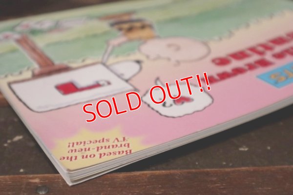 画像9: ct-210701-88 A Charlie Brown Valentine / 2002 Picture Book