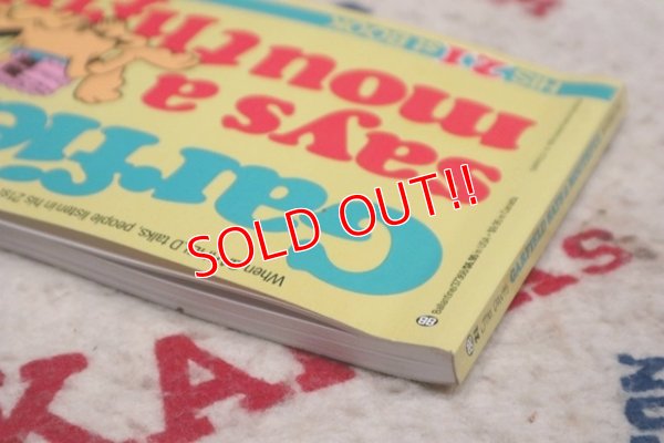 画像6: ct-210501-94 Garfield / 1991 Comic "Garfield says a mounthful"