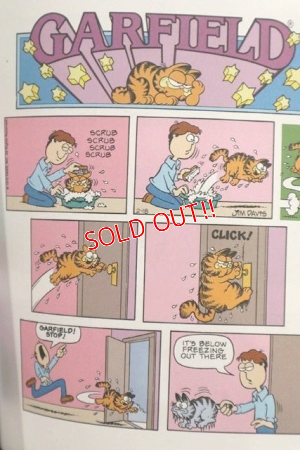 画像4: ct-210501-94 Garfield / 2003 Garfield FAT CAT 3-PACK Comic