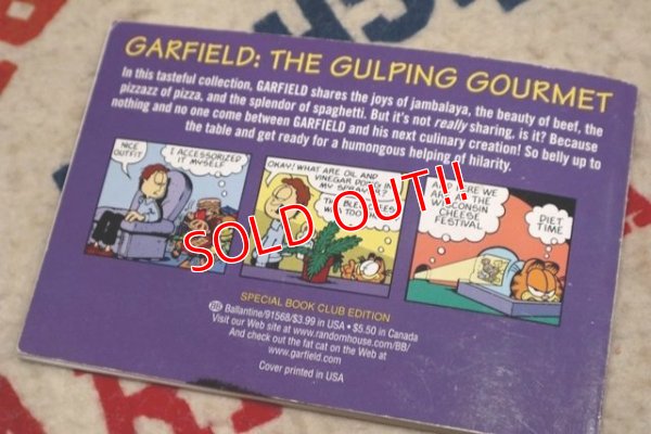 画像5: ct-210501-94 Garfield / 1998 Comic "Garfield In the mood for FOOD"