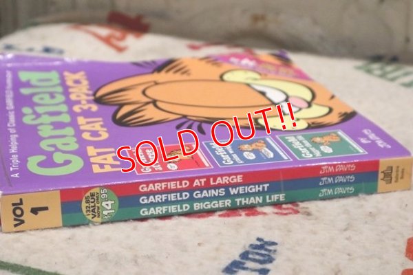 画像8: ct-210501-94 Garfield / 2003 Garfield FAT CAT 3-PACK Comic