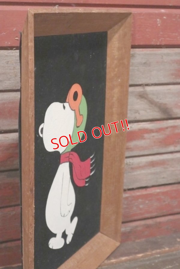画像4: ct-210901-72 Snoopy / 1970's Velvet Painting Wall Hanging