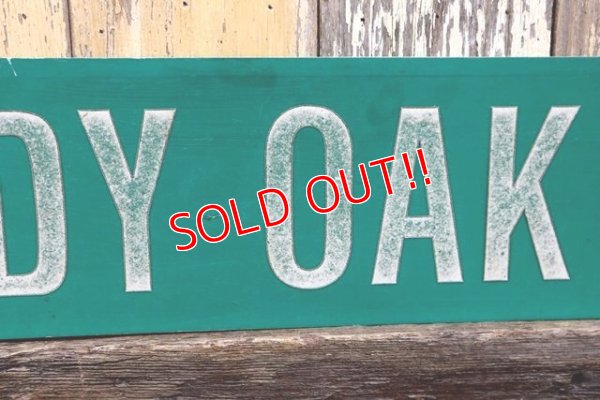 画像3: dp-210801-34 Road Sign / SHADY OAK LN.