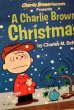 画像2: ct-211101-47 A Charlie Brown Christmas / 1977 Book & Record (2)