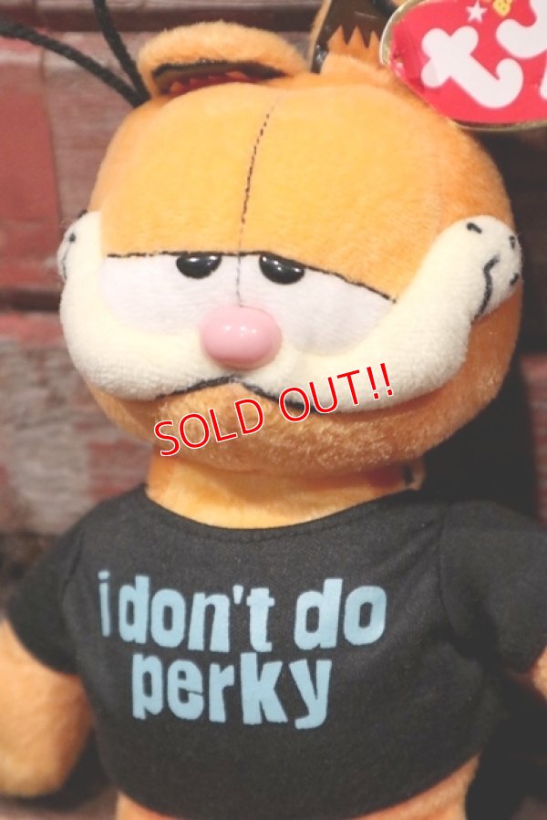 画像2: ct-211201-03 Garfield / Ty Beanie Babies 2007 Plush Doll 