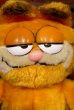 画像3: ct-21201-31 Garfield / DAKIN 1980's Plush Doll  (3)