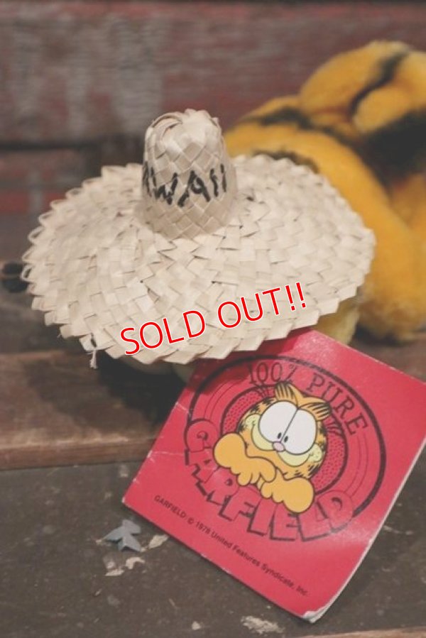 画像5: ct-211201-21 Garfield / DAKIN 1980's Plush Doll