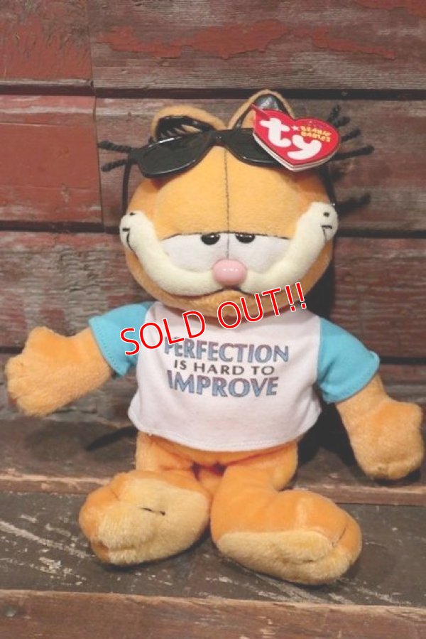 画像1: ct-211201-02 Garfield / Ty Beanie Babies 2007 Plush Doll 